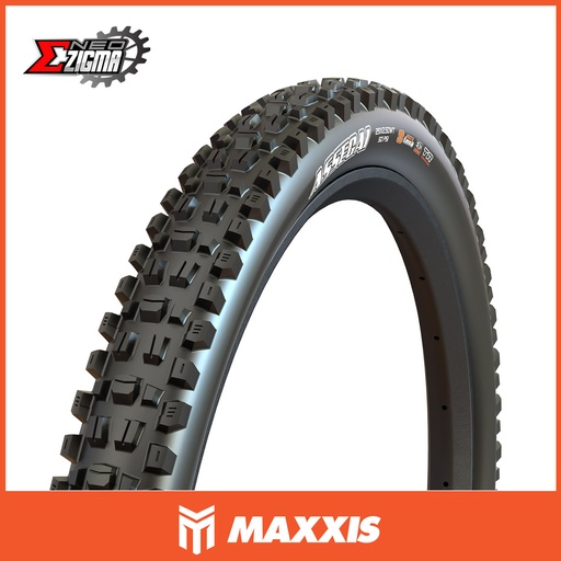 レスターファイン　ニンバスGX2.5C NIMBUS